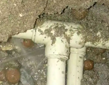 瑞丽测漏水多少钱