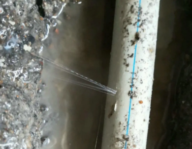 瑞丽测漏水哪家好