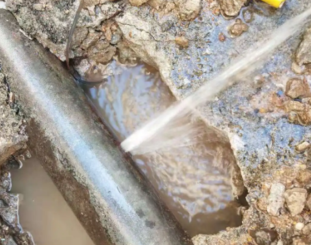 瑞丽测漏水公司