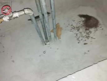 瑞丽卫生间测漏水价格明细