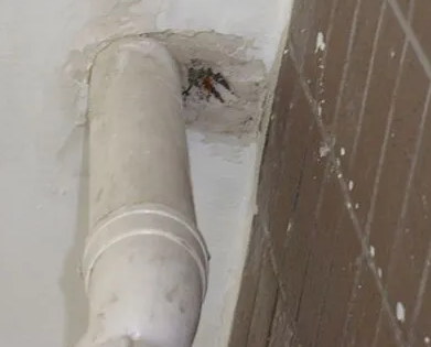 瑞丽漏水检测哪家好